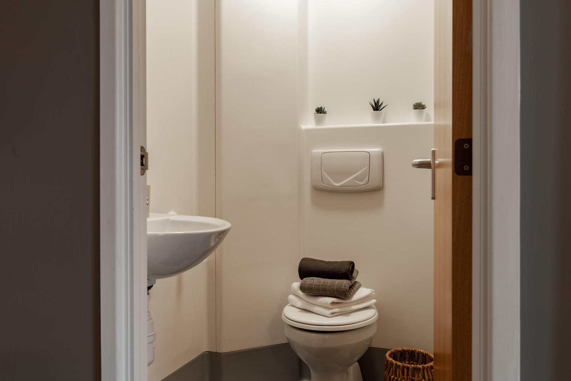 image image 3