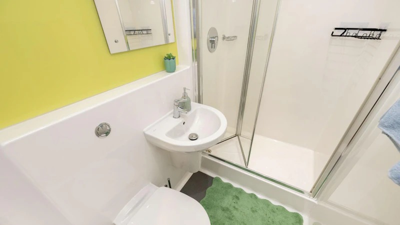 image image 6