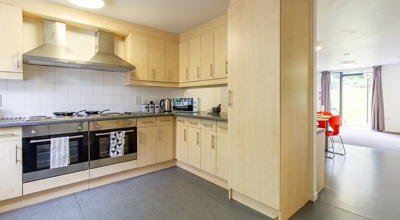 image image 5