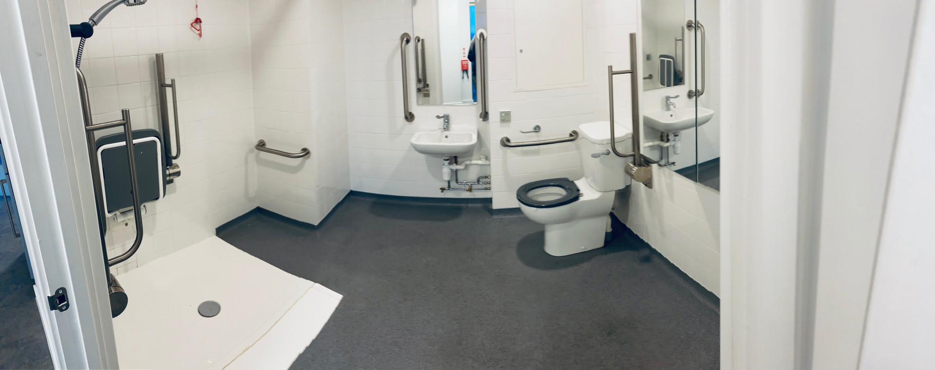 image image 4
