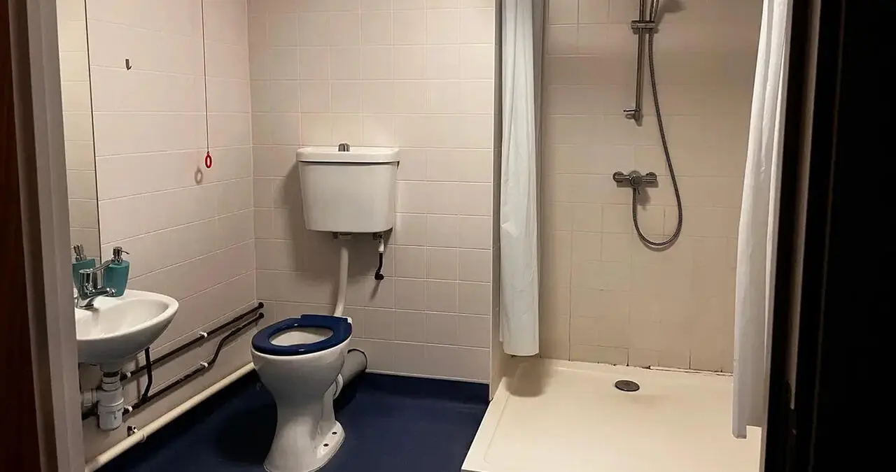 image image 4
