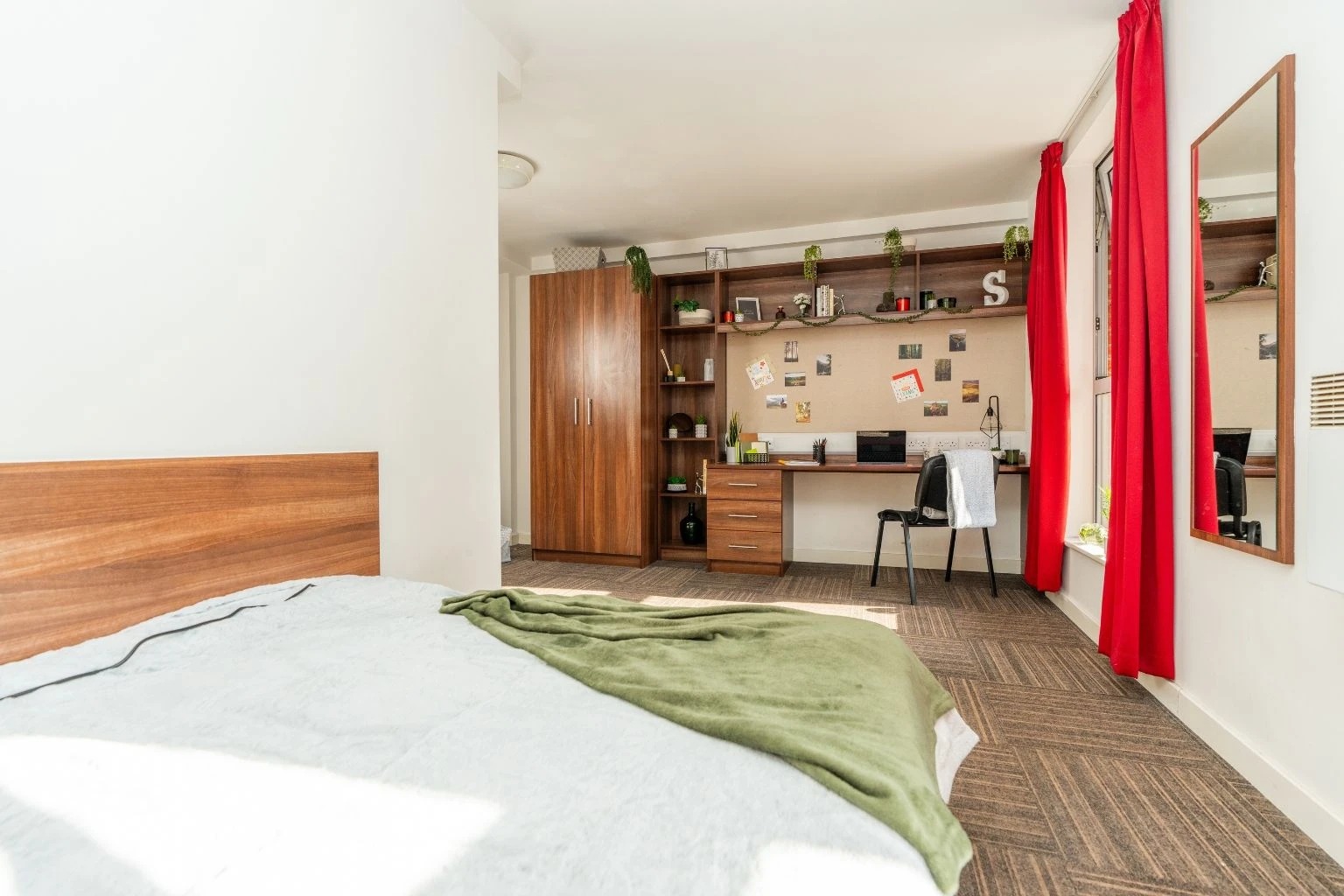 image image 4