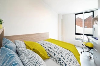 image image 3