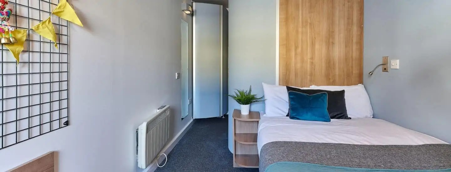 image image 2