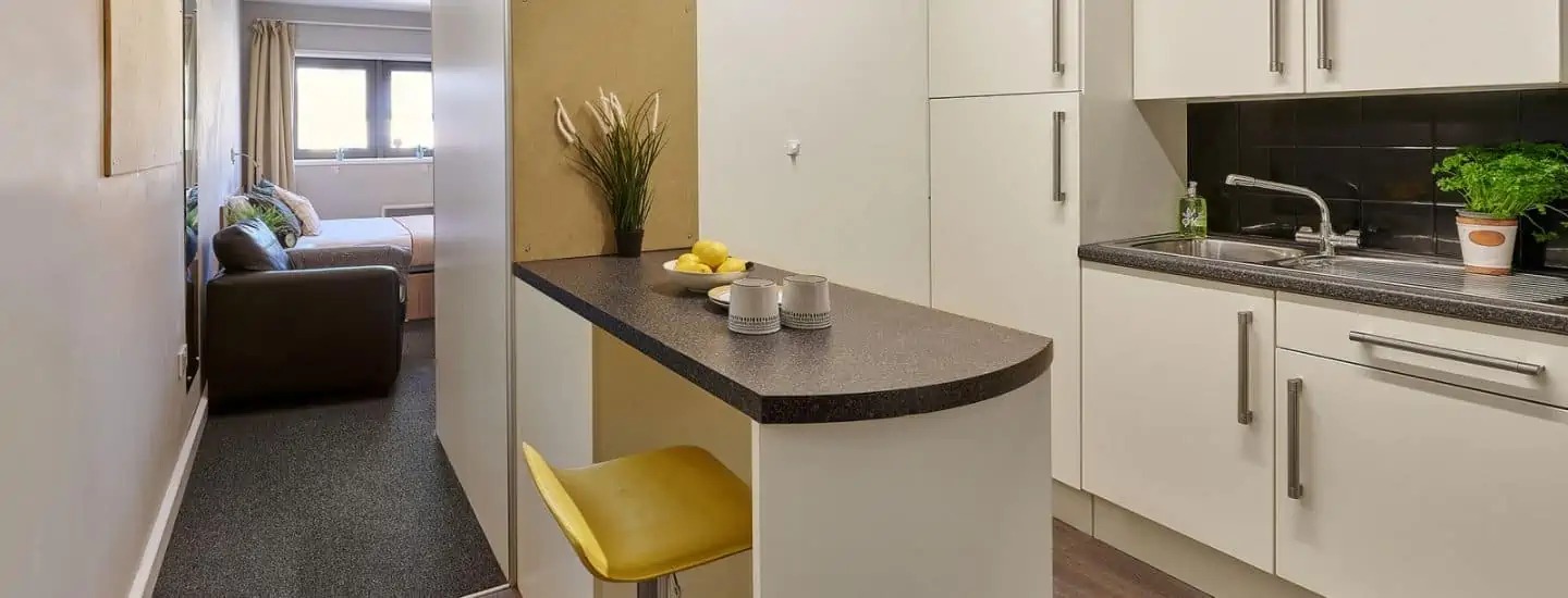 image image 3