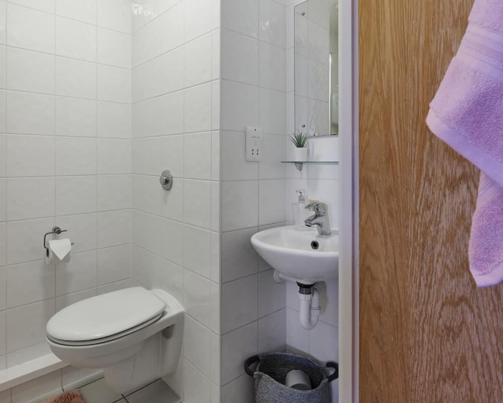 image image 6
