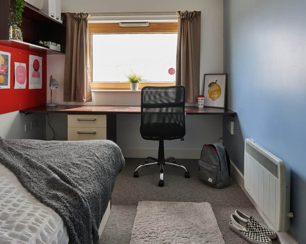 image image 3