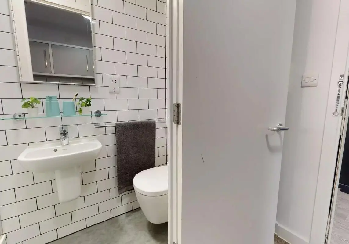 image image 4
