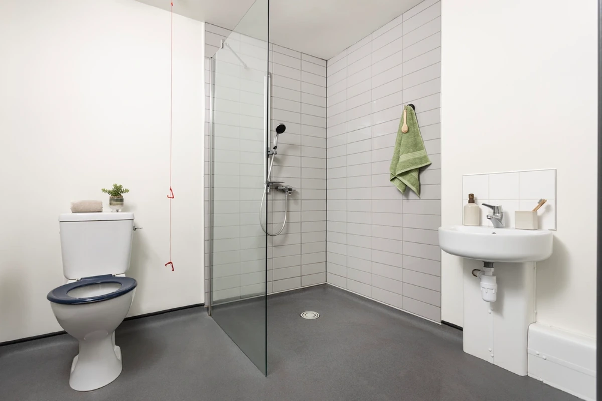 image image 3