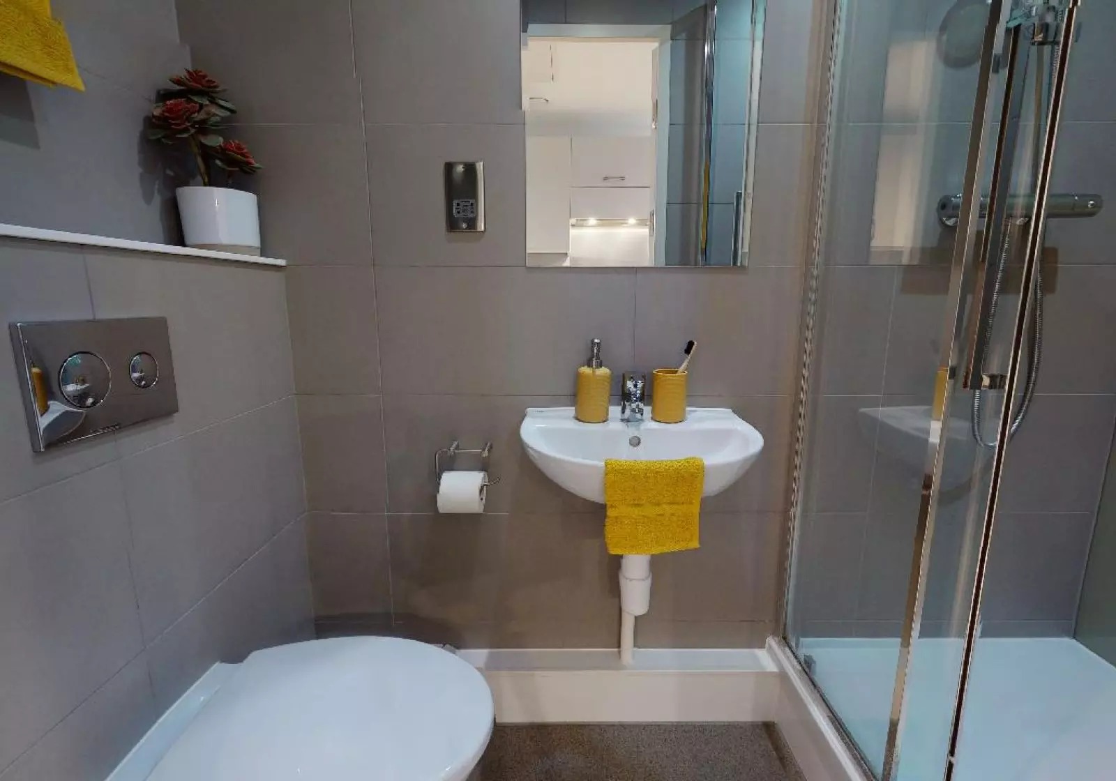 image image 3