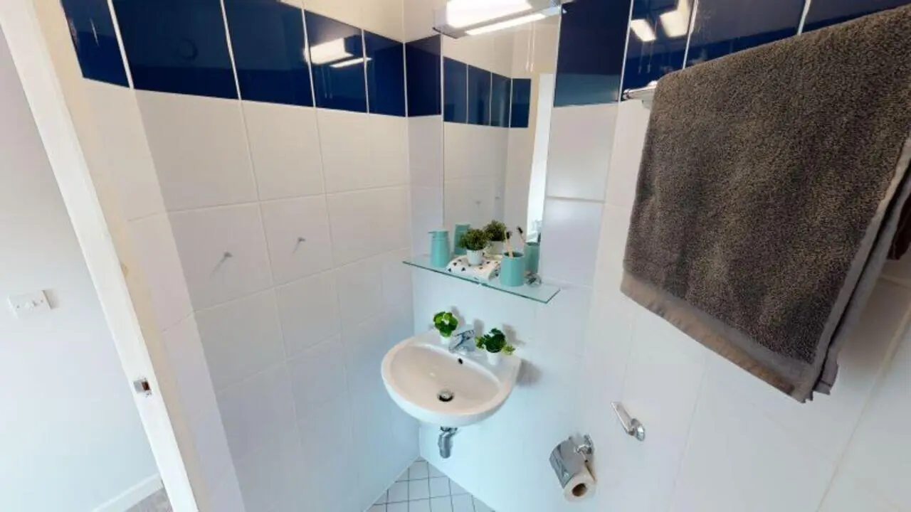 image image 2