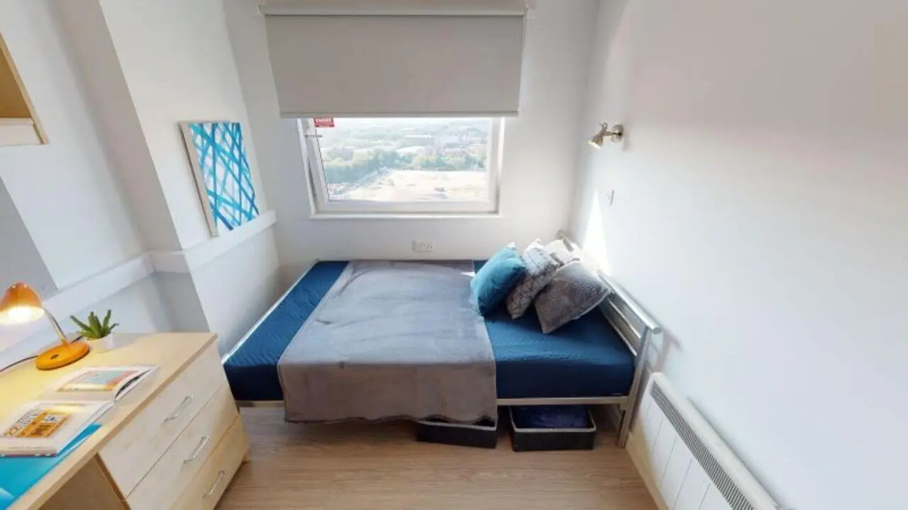 image image 1