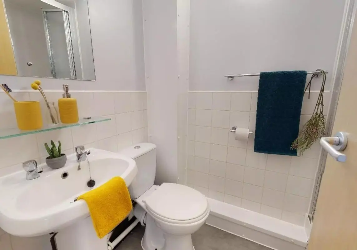 image image 3