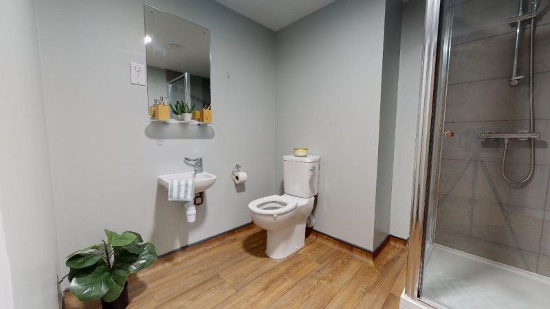 image image 2