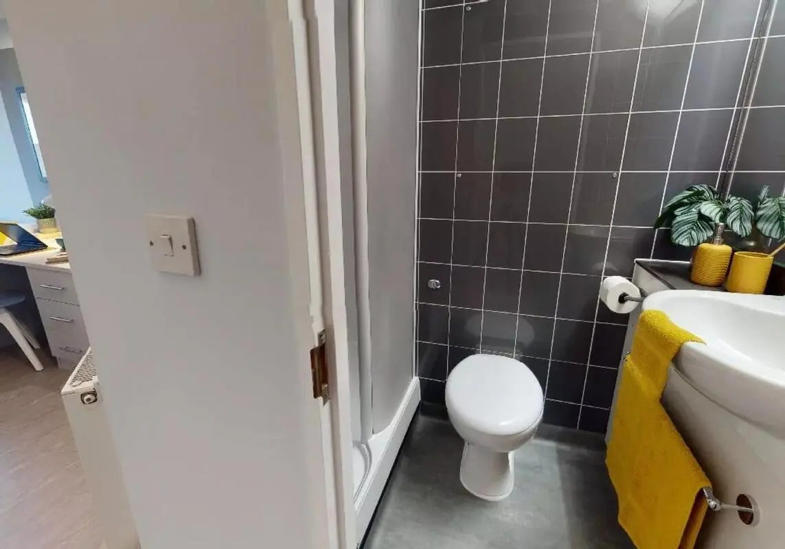 image image 2