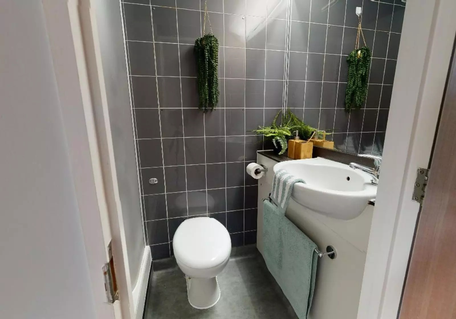 image image 3
