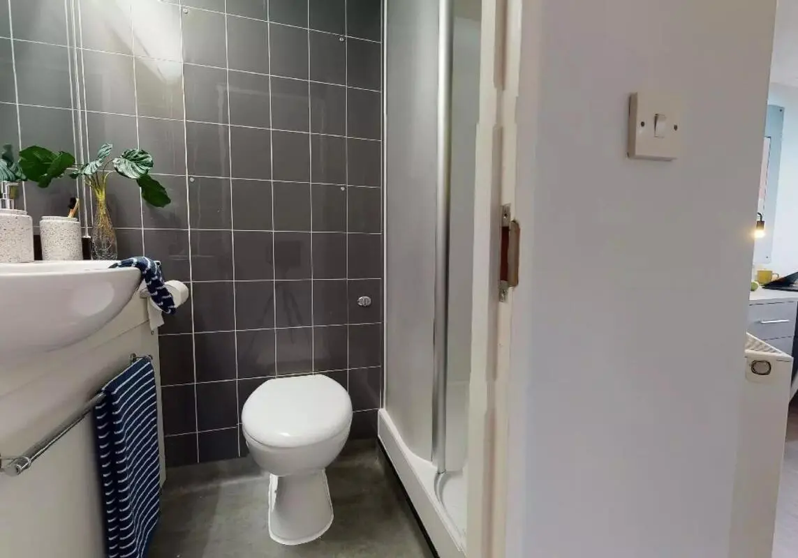 image image 3