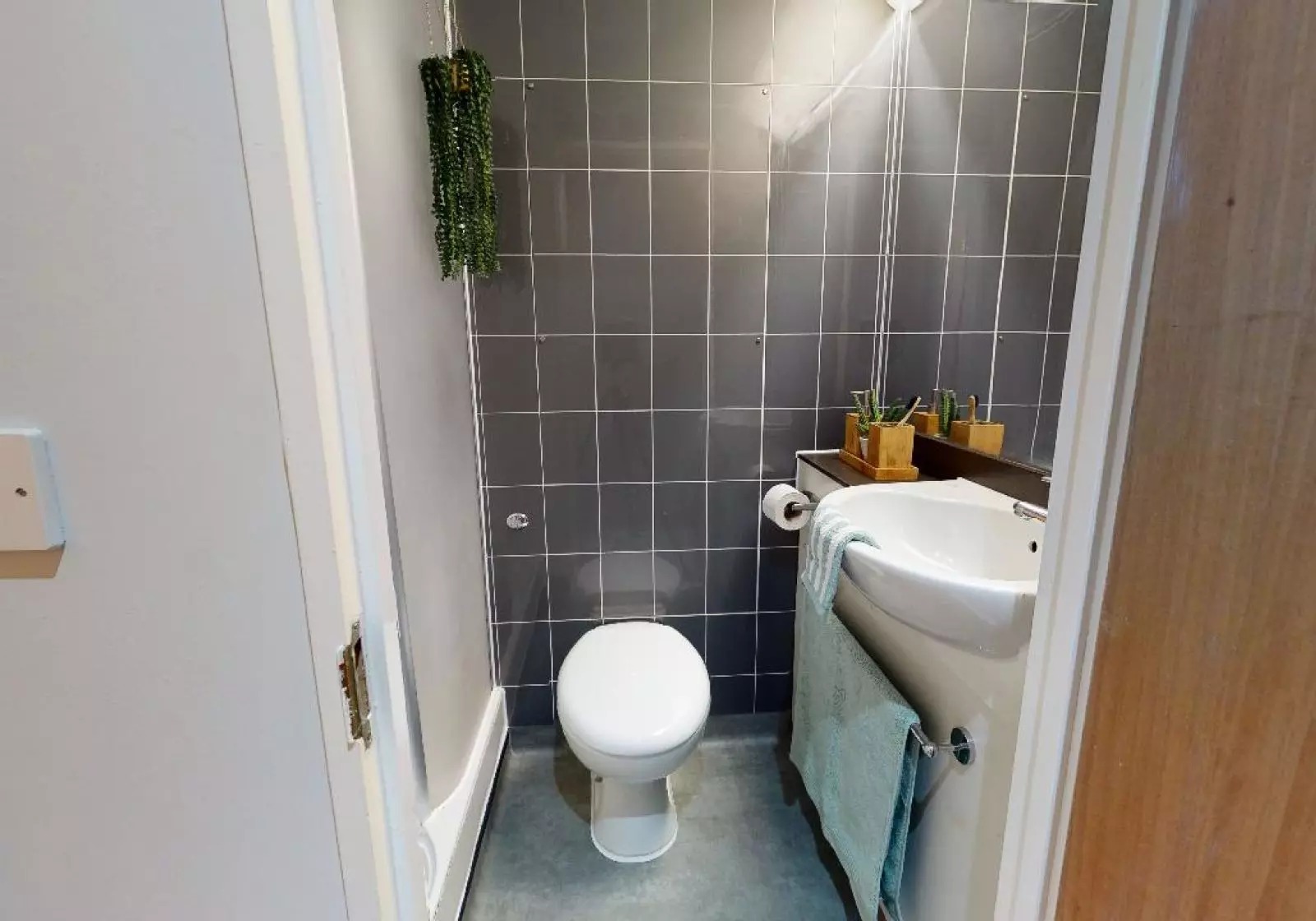 image image 3