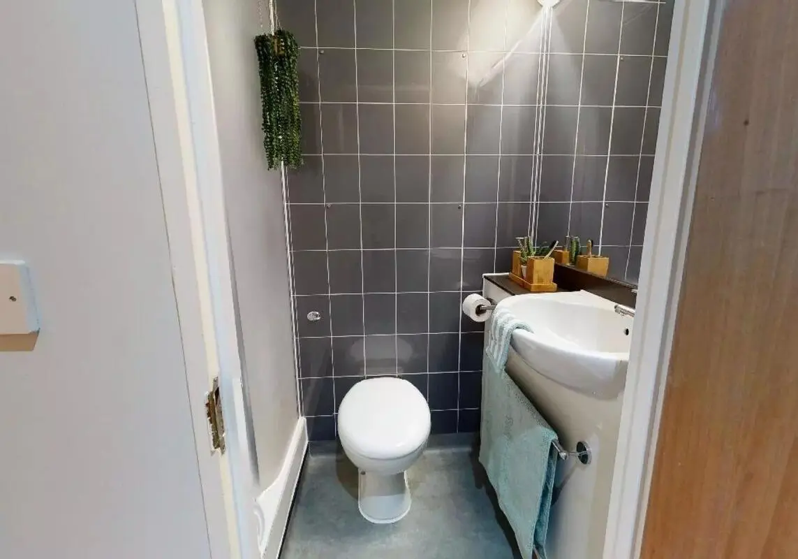 image image 3