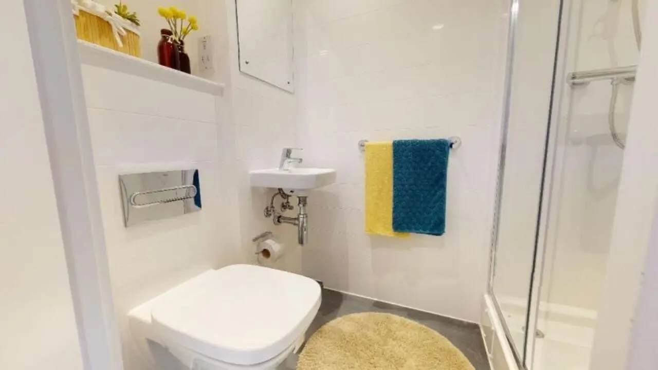 image image 2
