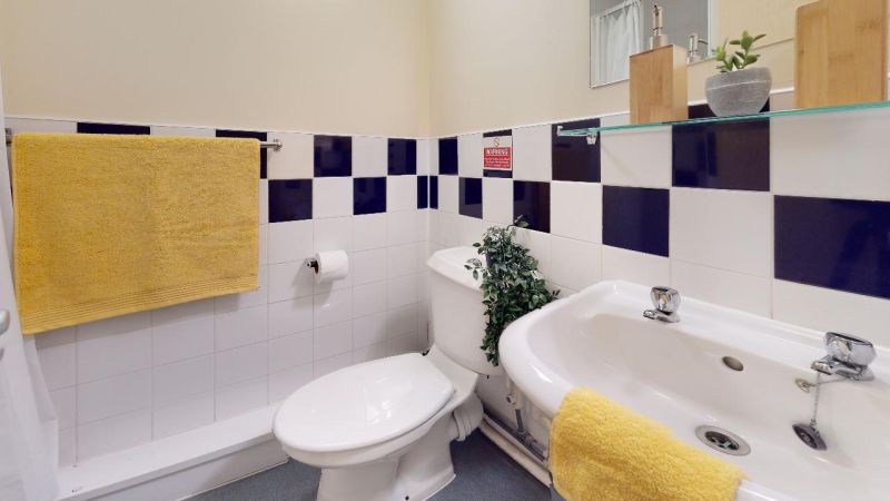 image image 3