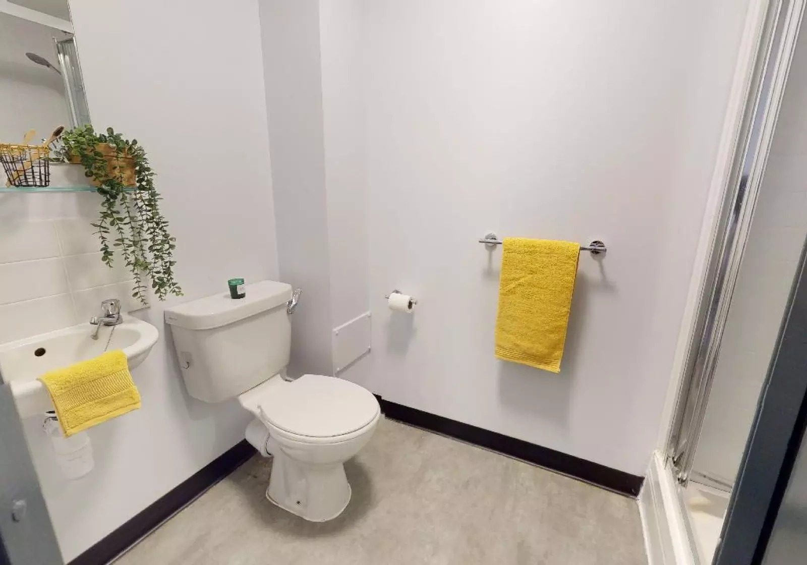 image image 3