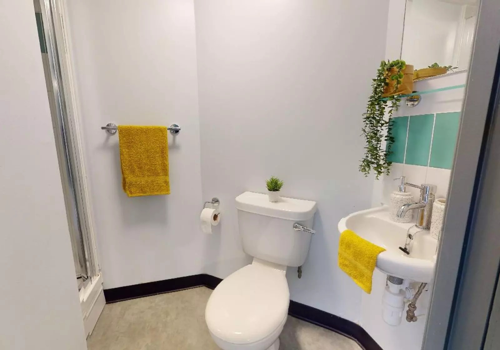 image image 4