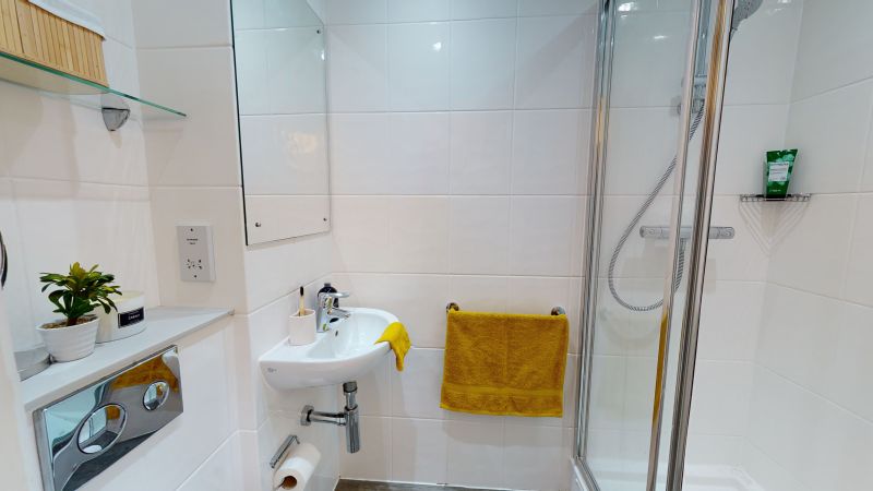 image image 3