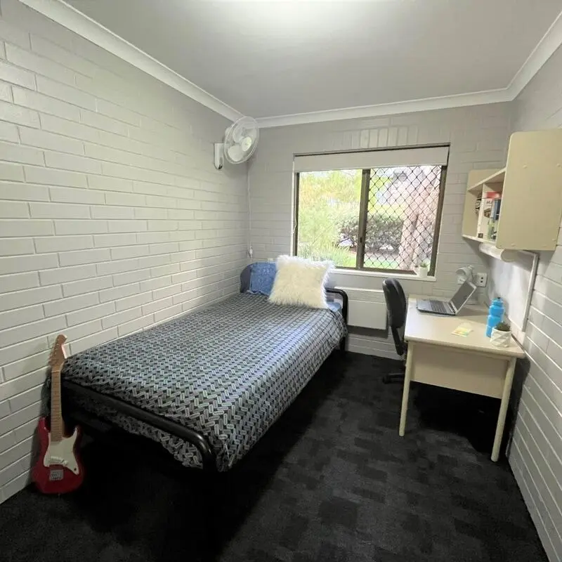 image image 3