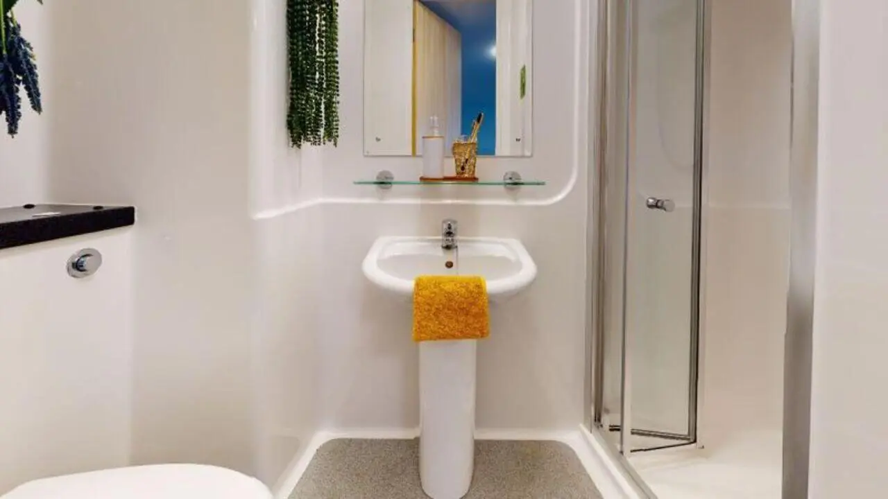 image image 4