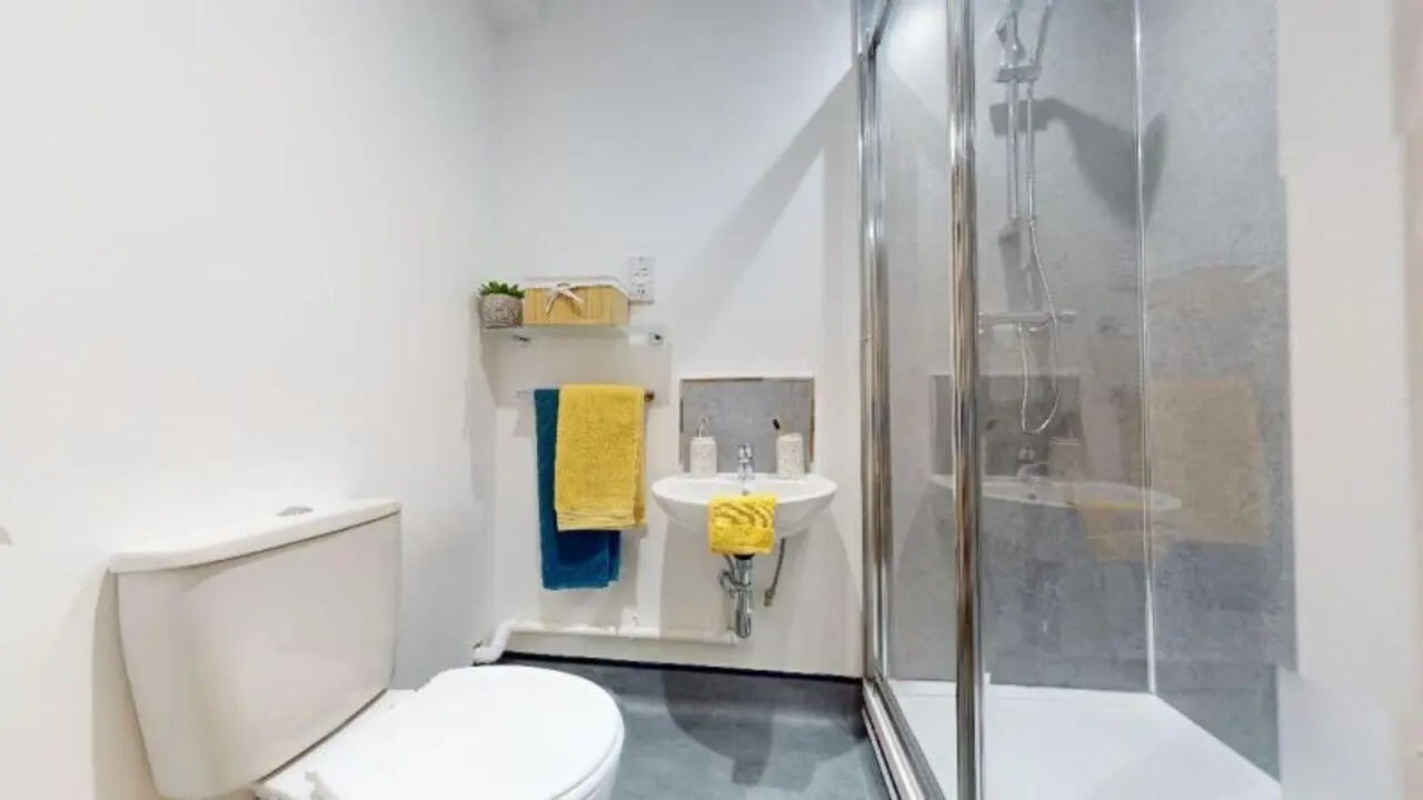 image image 4