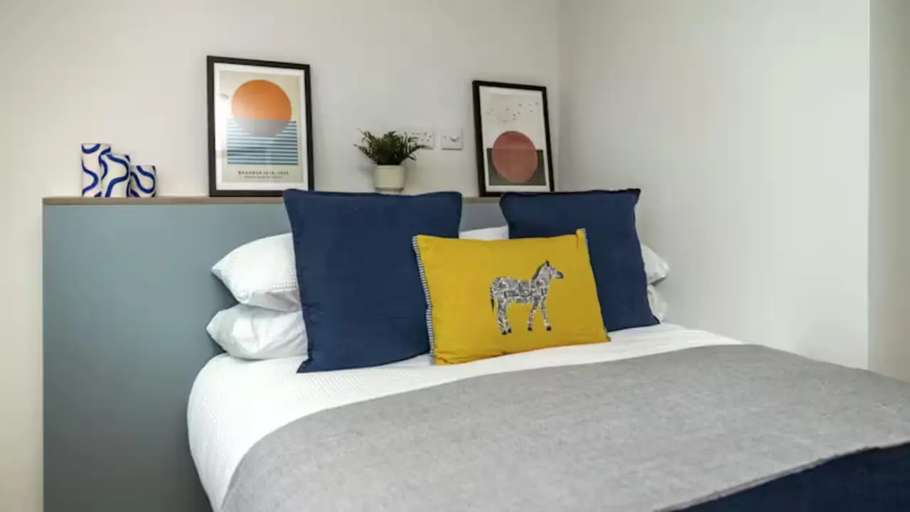 image image 1