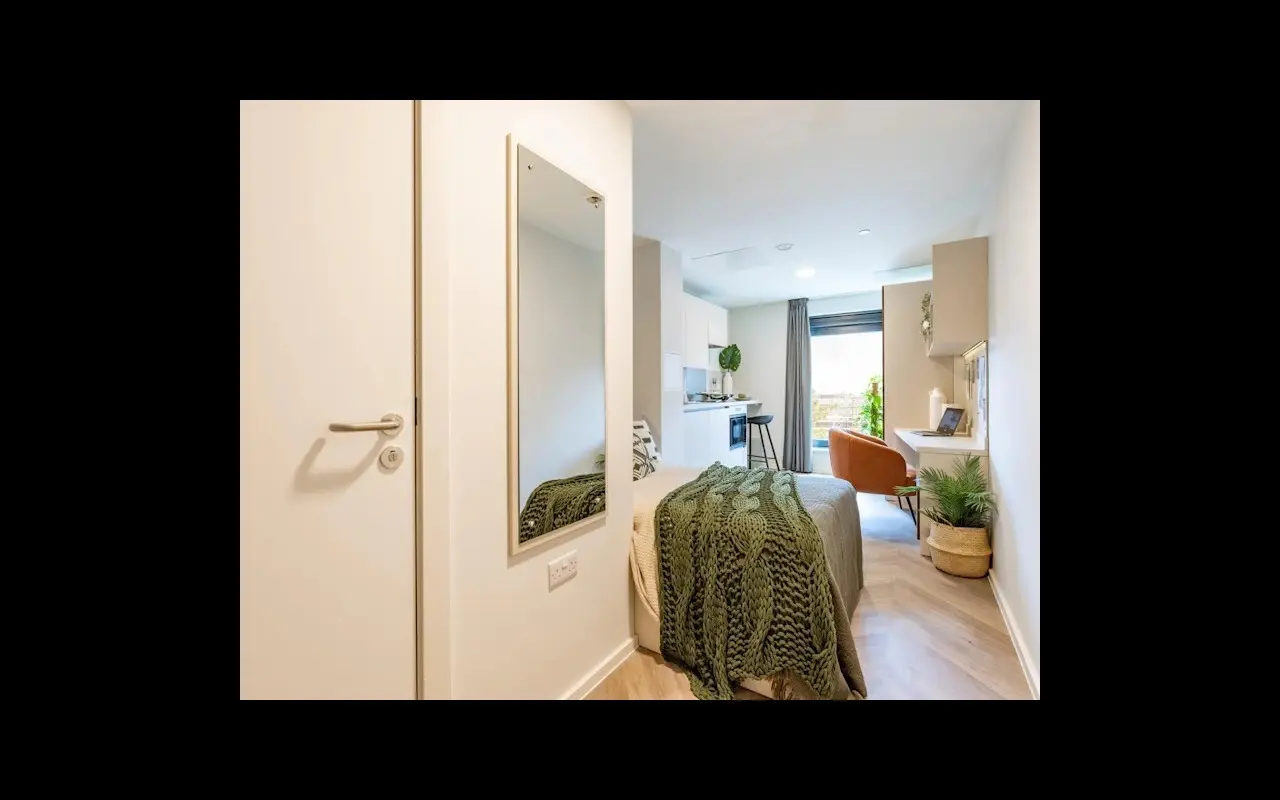 image image 3