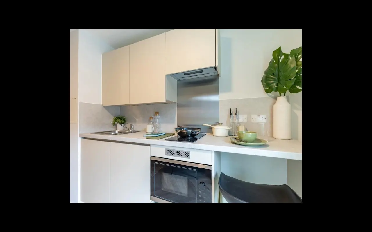 image image 4