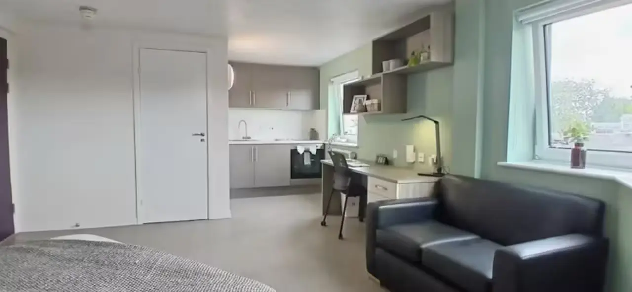image image 4
